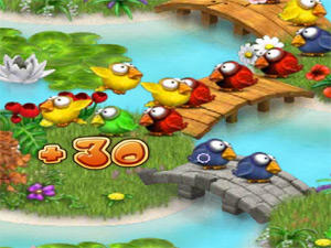 Birds Town