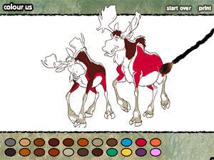 Brotherbear Colourus