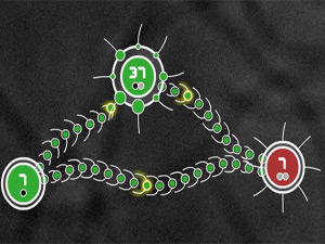 Tentacle Wars