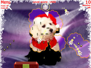 Xmas Stars